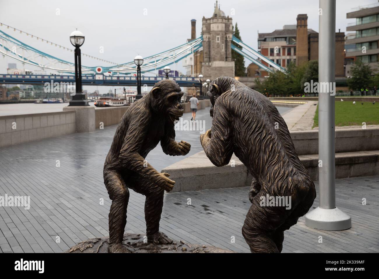 Chimps are Family outdoor exhibition in London Bridge City, London Stock Photo