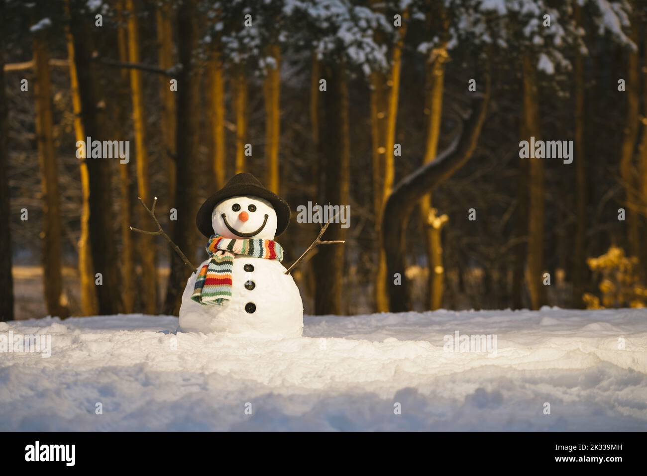 Winter card with a cheerful snowman in a snowy park Stock Photo