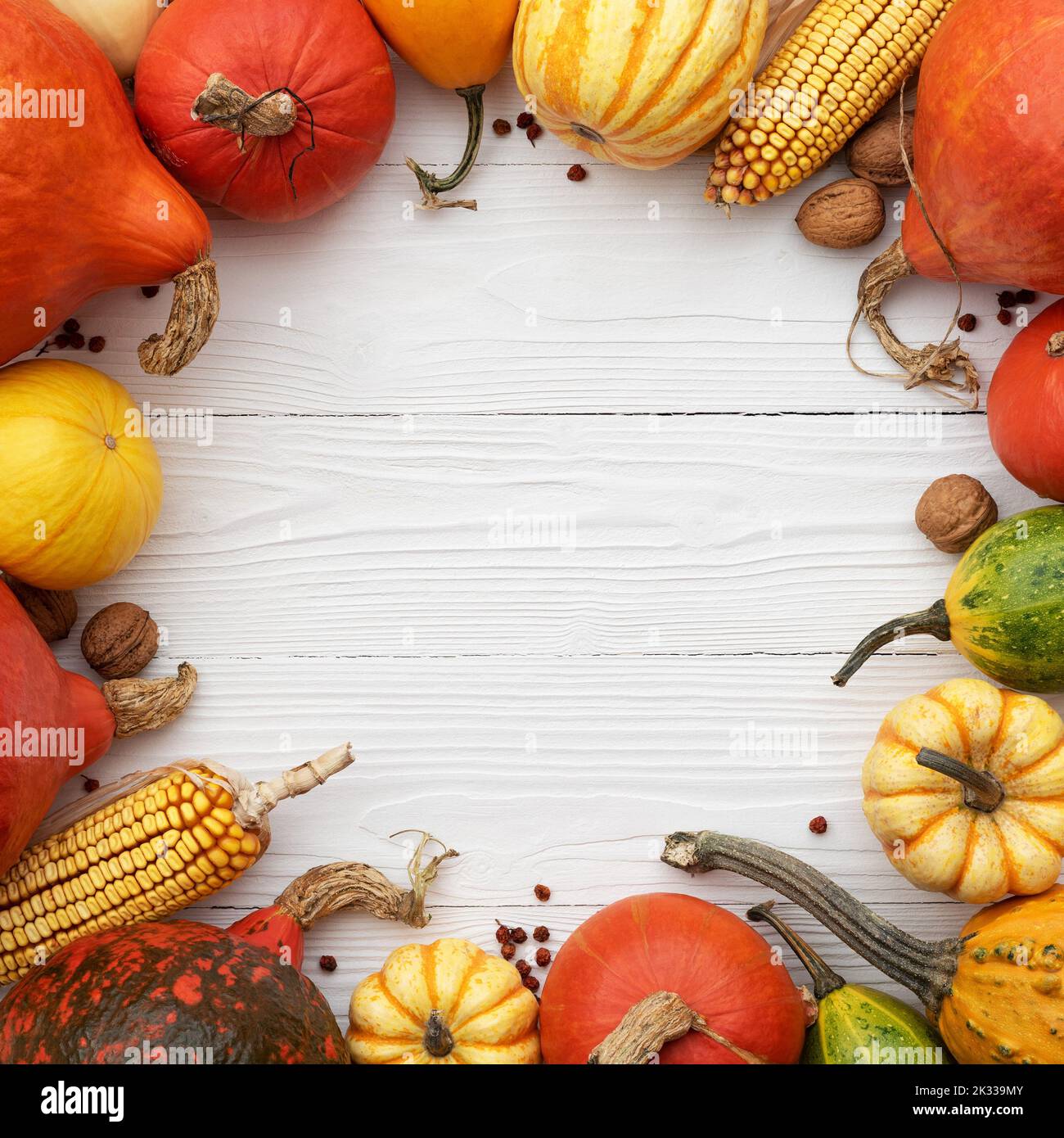 Autumn card with a frame of pumpkins and decorative gourds on a white background with copy space for text Stock Photo