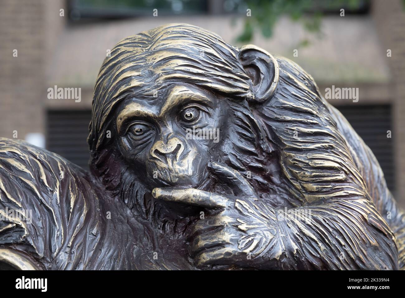 Chimps are Family outdoor exhibition in London Bridge City, London Stock Photo