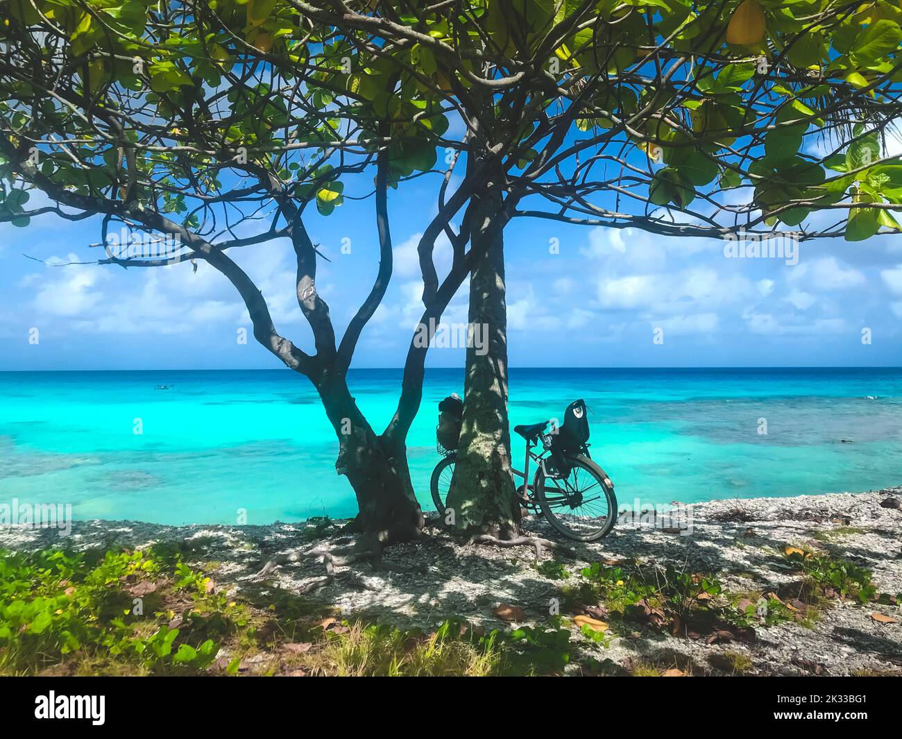 Bicycle on the beach under the tree. Turquoise water, bright blue sky in sunny day. Ideal resting place. Amazing natural summer scenery. Travel, tourism, vacation, freedom and active lifestyle concept Stock Photo