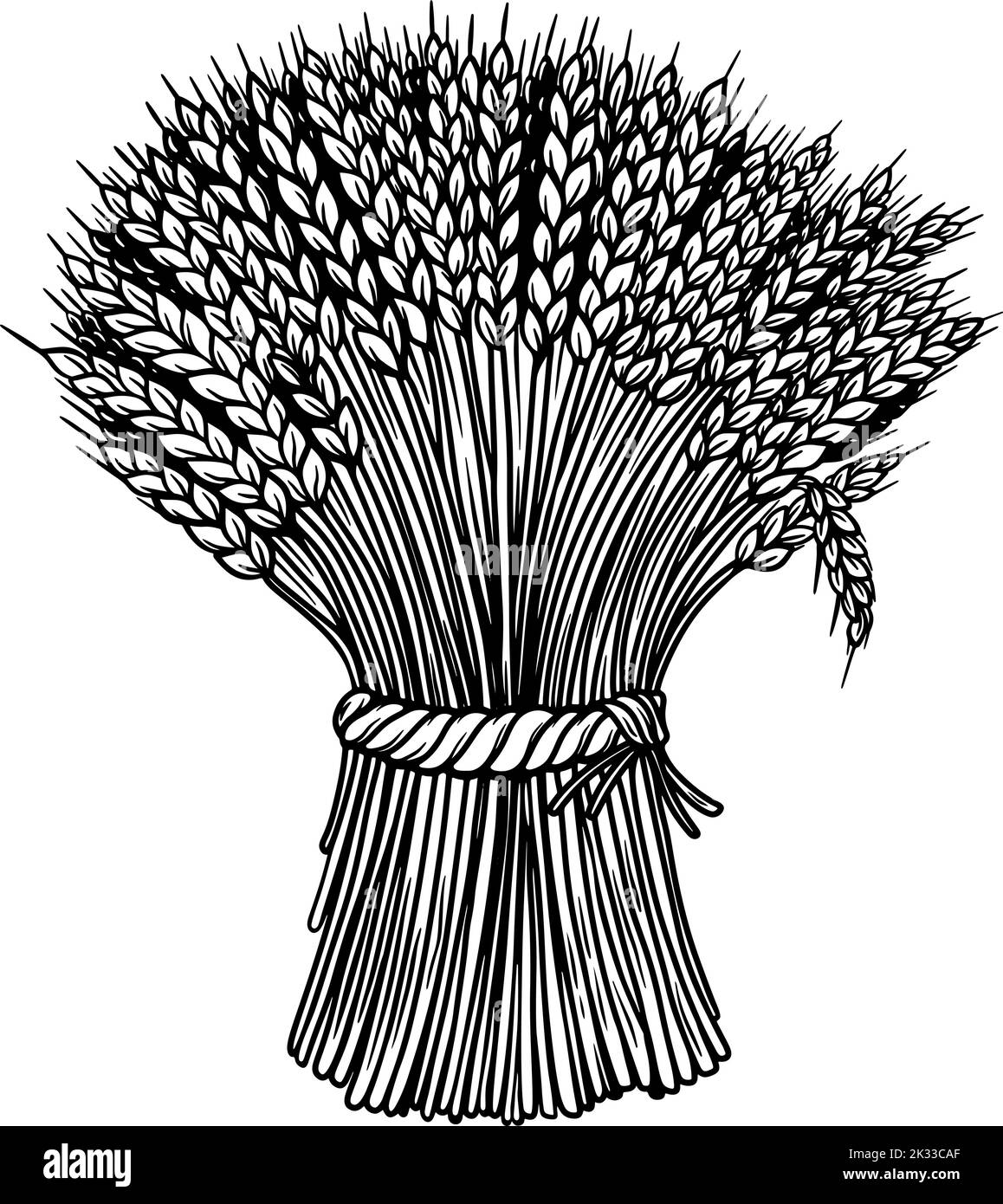 Illustration of sheaf of wheat in engraving style. Design element for emblem, sign, poster