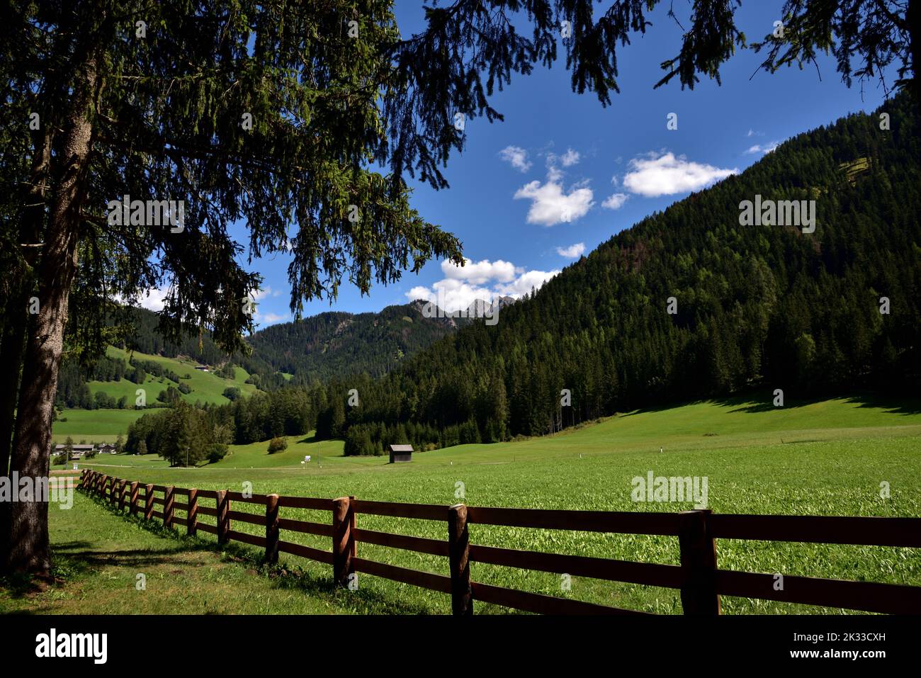 In the Braies valley, along the road that leads to the famous lake, there are vast wooded areas and expanses of grass reminiscent of bucolic landscape Stock Photo