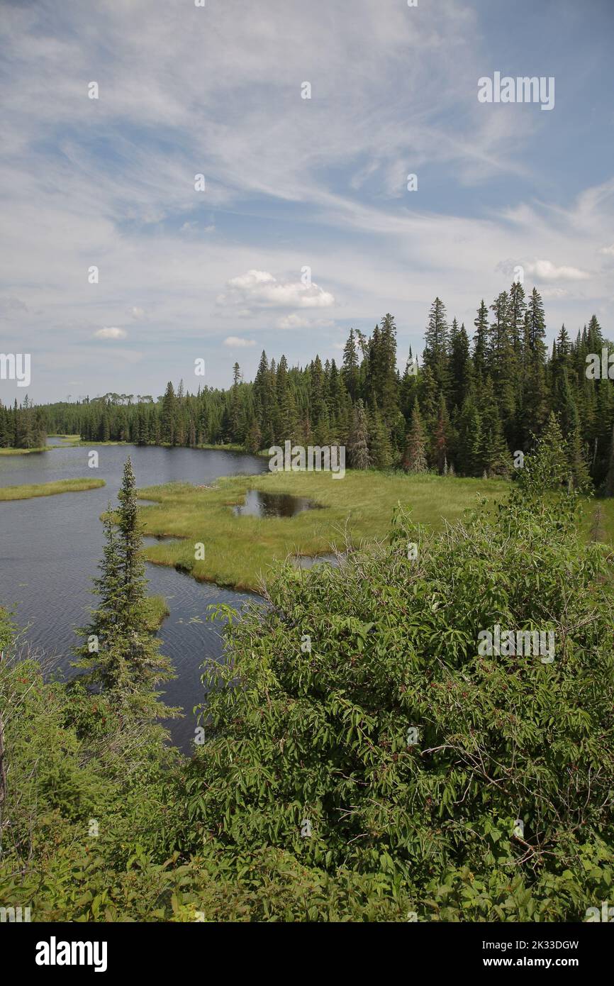 Chapleau Crown Game Preserve / Chapleau Crown Game Preserve Stock Photo