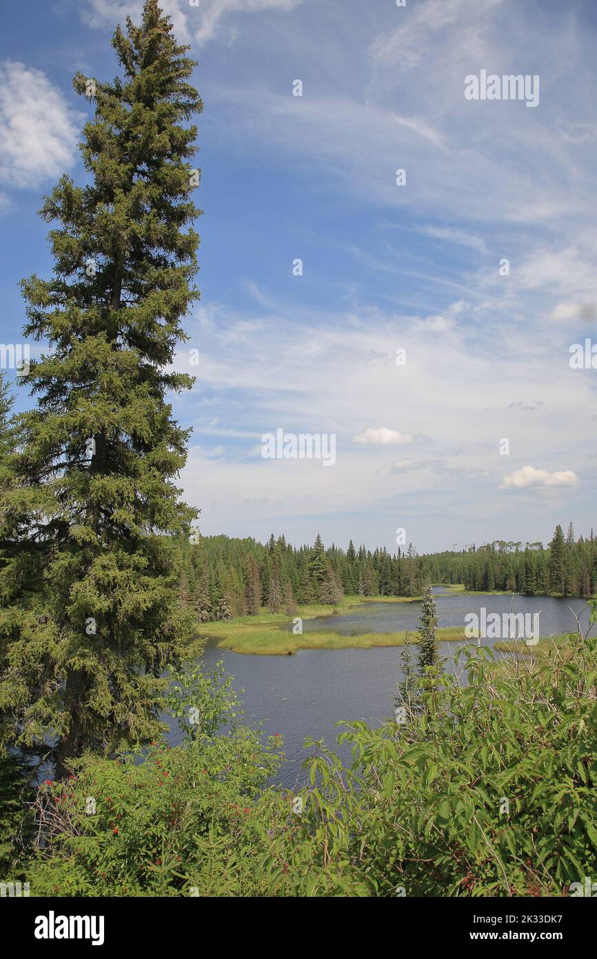 Chapleau Crown Game Preserve / Chapleau Crown Game Preserve Stock Photo