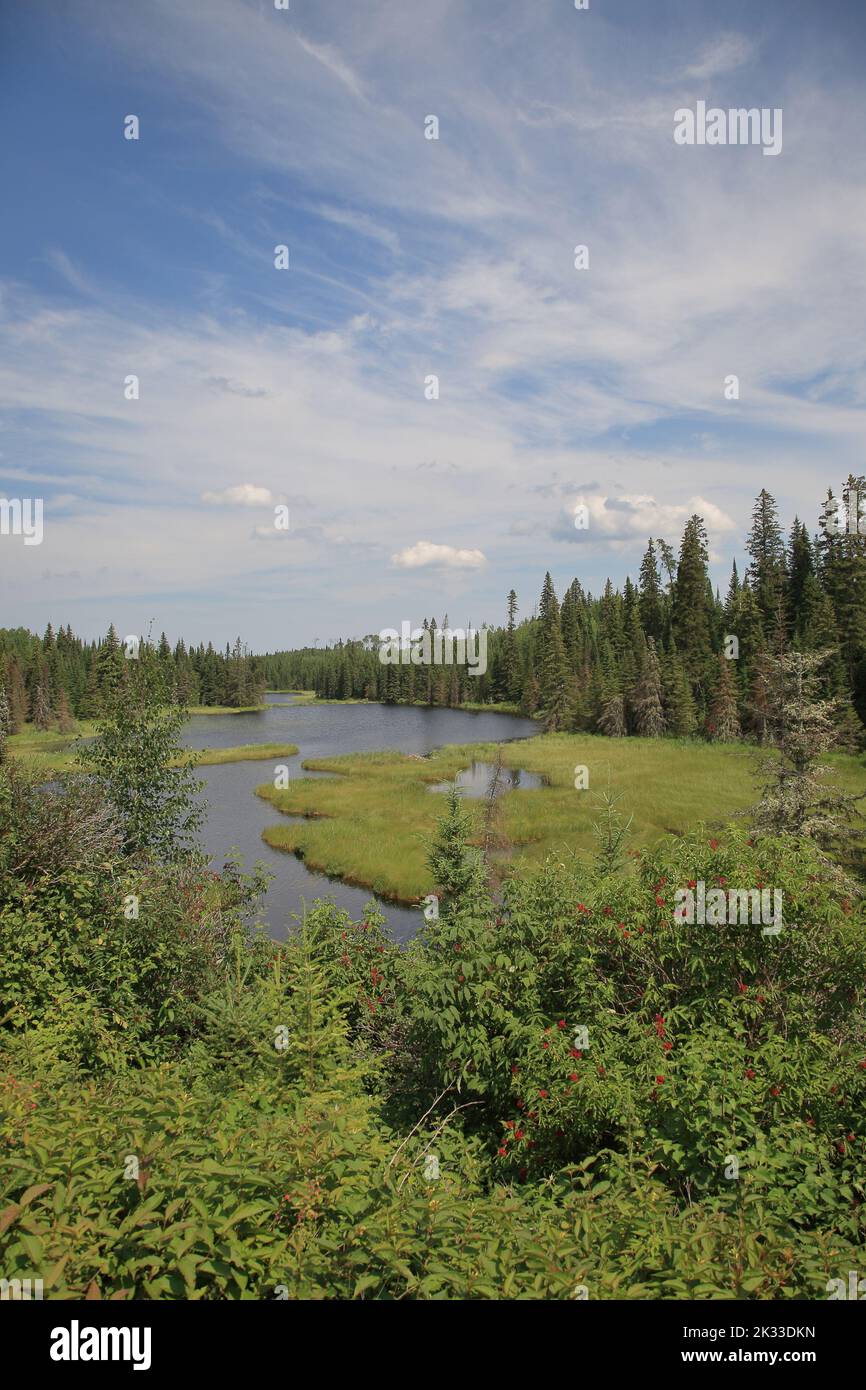 Chapleau Crown Game Preserve / Chapleau Crown Game Preserve Stock Photo Alamy