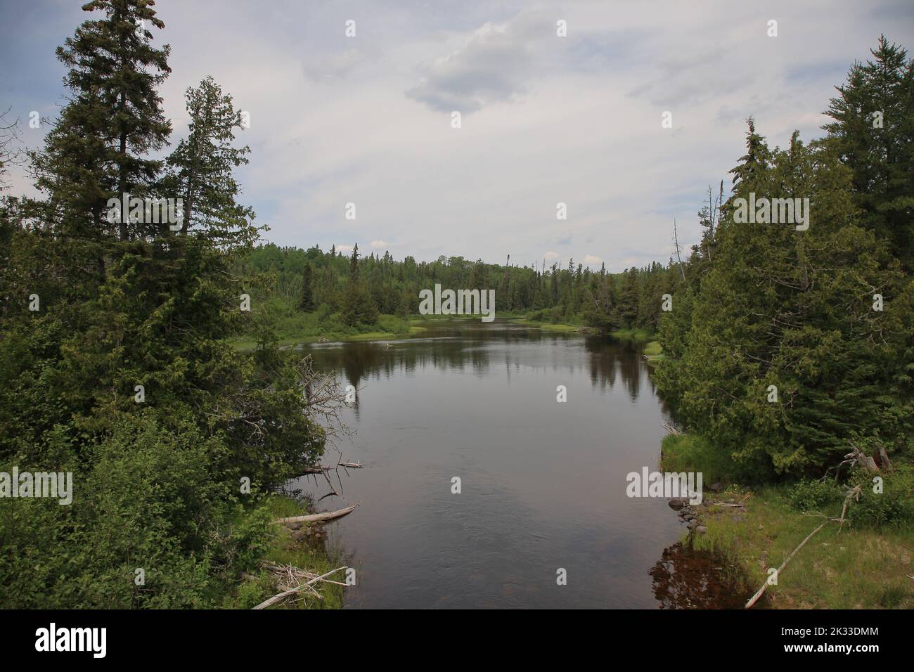 Chapleau Crown Game Preserve / Chapleau Crown Game Preserve Stock Photo