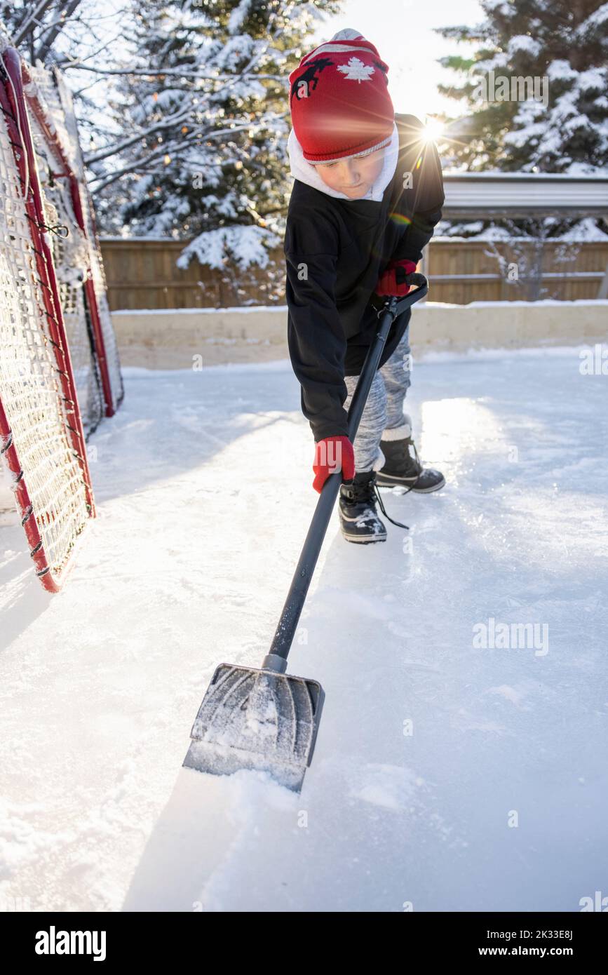 Boy using shovel on backyard ice hockey rink Stock Photo - Alamy