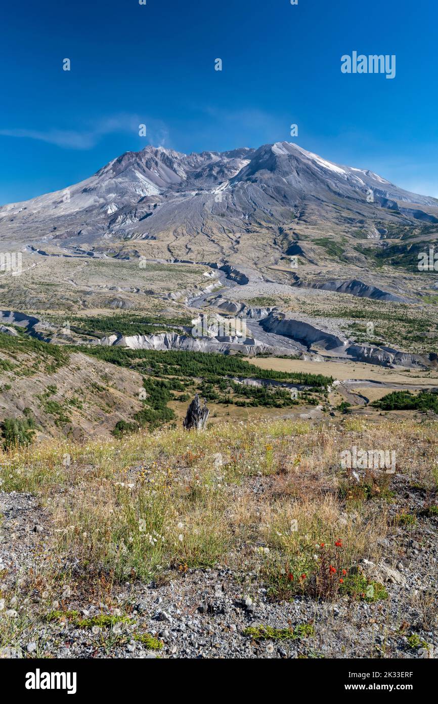 Scenic view over Mount St. Helens, Skamania County, Washington, USA Stock Photo