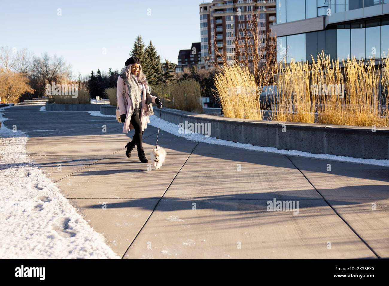 Stylish young woman walking small dog in sunny urban winter park Stock Photo