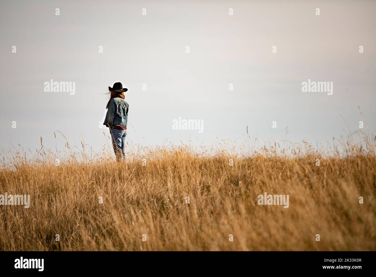 Rear view of cowgirl on wild grass field Stock Photo