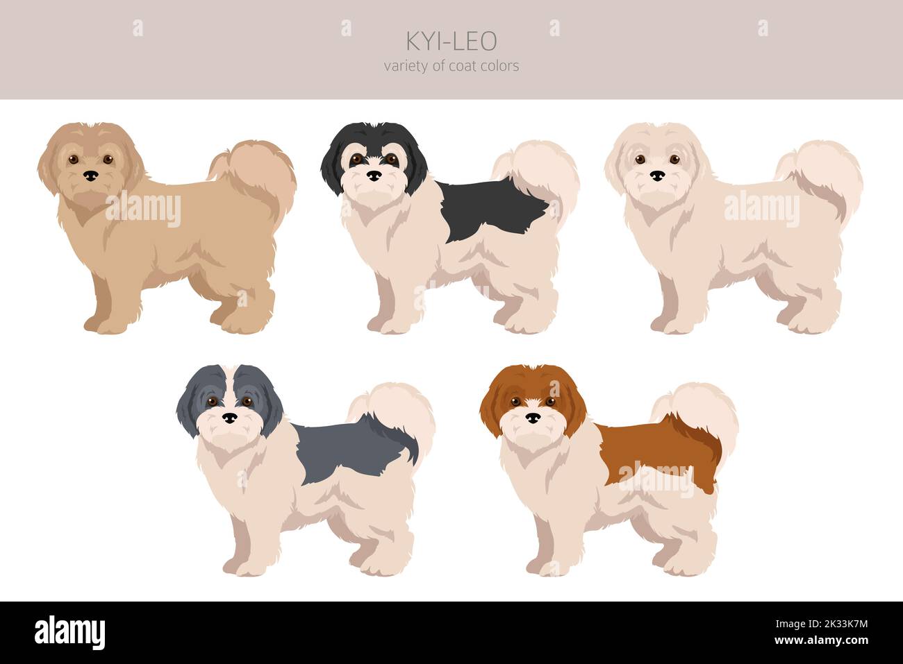 Kyi-Leo dog clipart. Different coat colors set.  Vector illustration Stock Vector