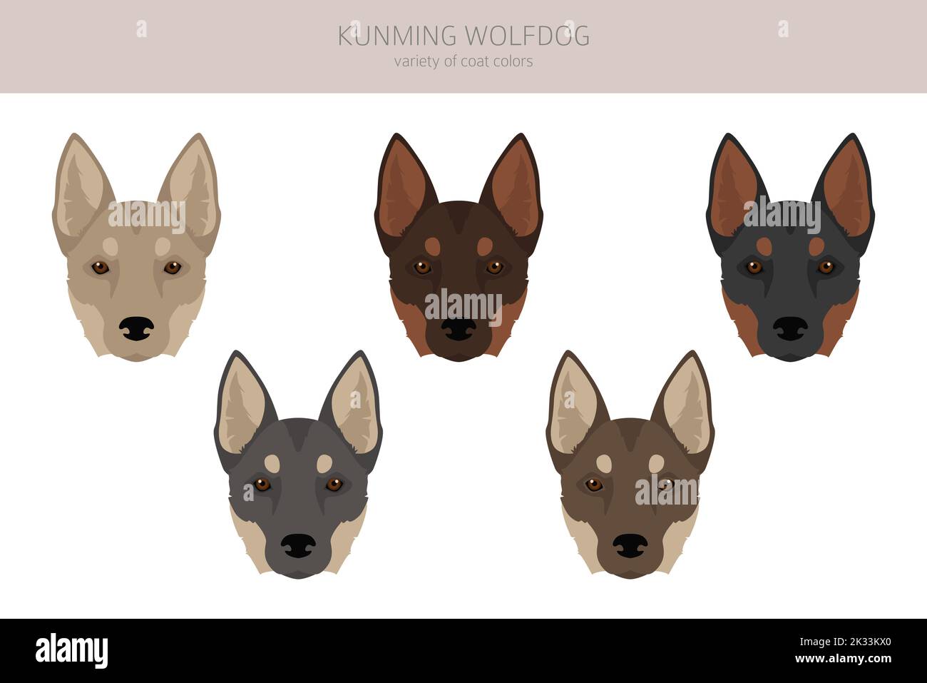 Kunming wolfdog clipart. Different coat colors set.  Vector illustration Stock Vector