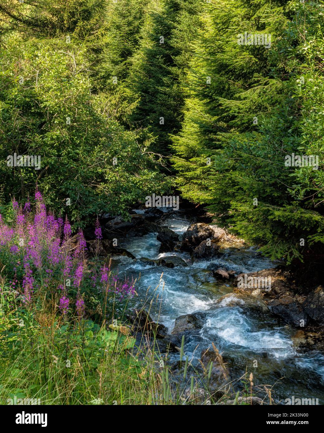 Idyllic landscape in Valdurna, Sarentino Valley, near Bolzano, Trentino Alto Adige, Italy. Stock Photo