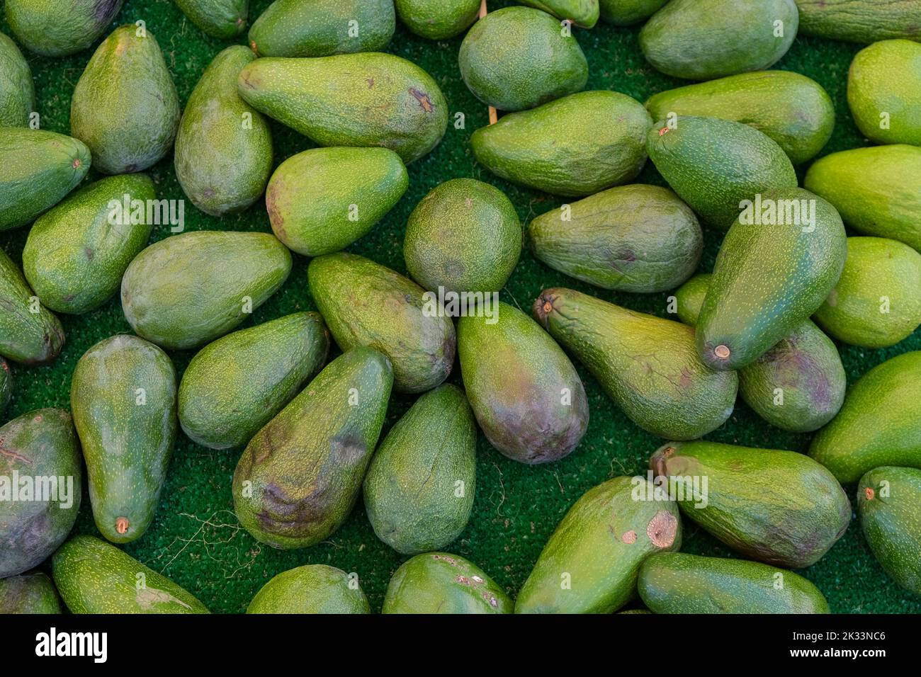 Top view of a bunch of green organic avocado fruits in the market, copy space. Stock Photo
