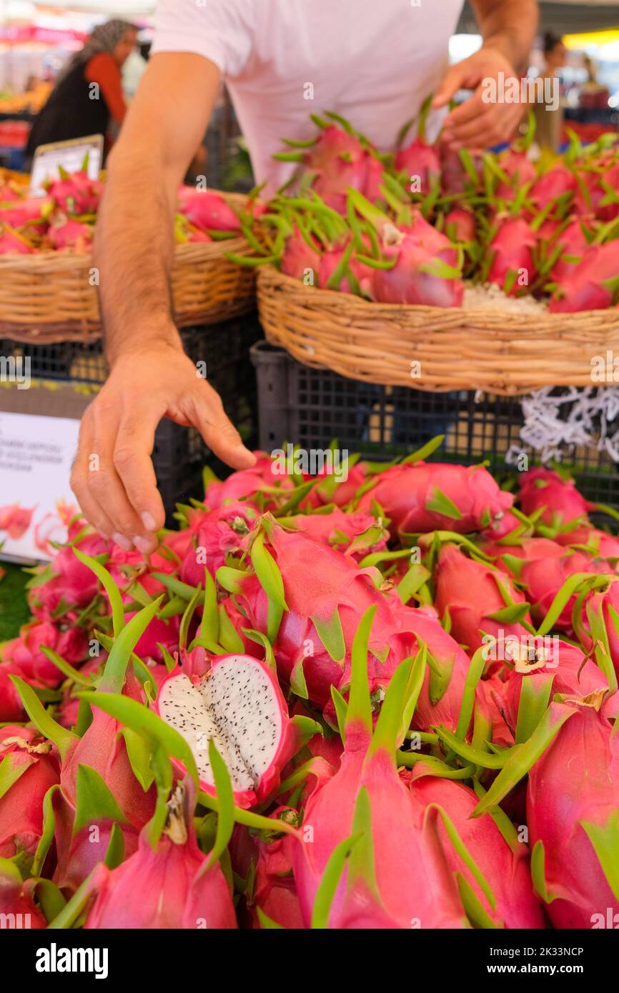Pile of pitaya or dragon fruit, Big Bunch of Pink Dragon Fruits in traditional Market, Copy space. Stock Photo