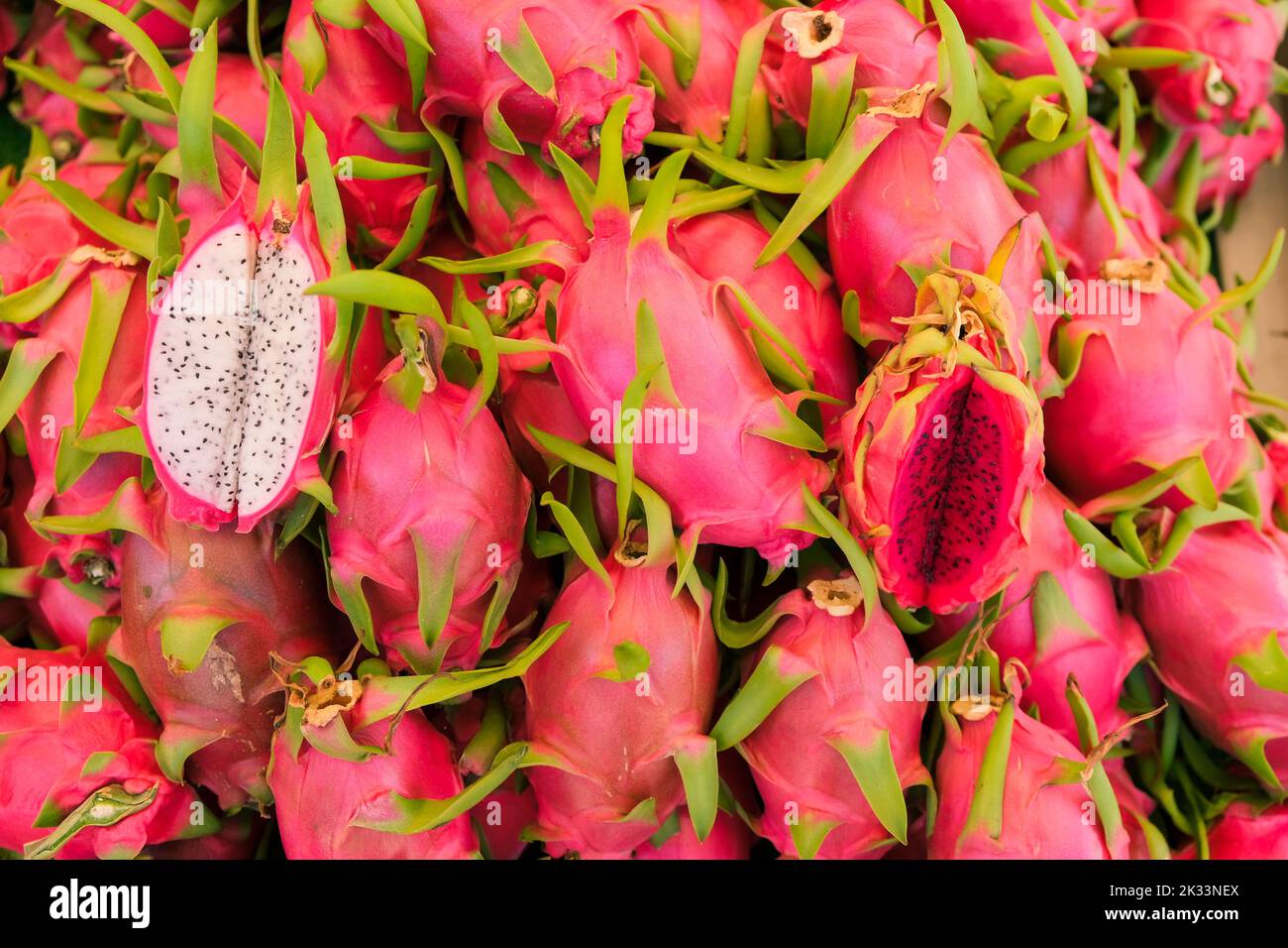 Pile of pitaya or dragon fruit, Big Bunch of Pink Dragon Fruits in
