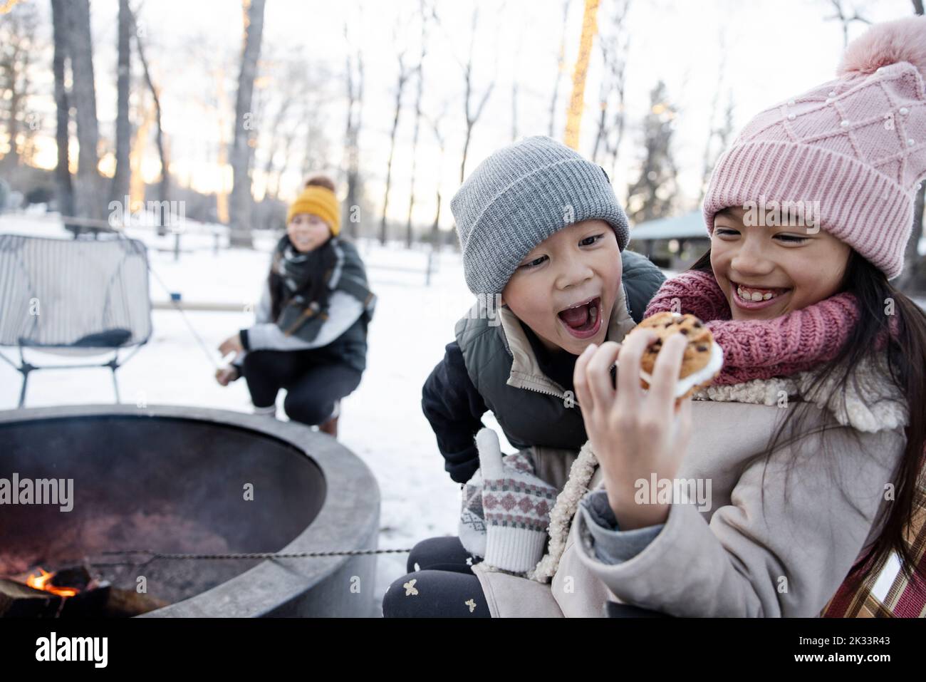 Happy brother and sister enjoying smores at fire pit in winter park Stock Photo