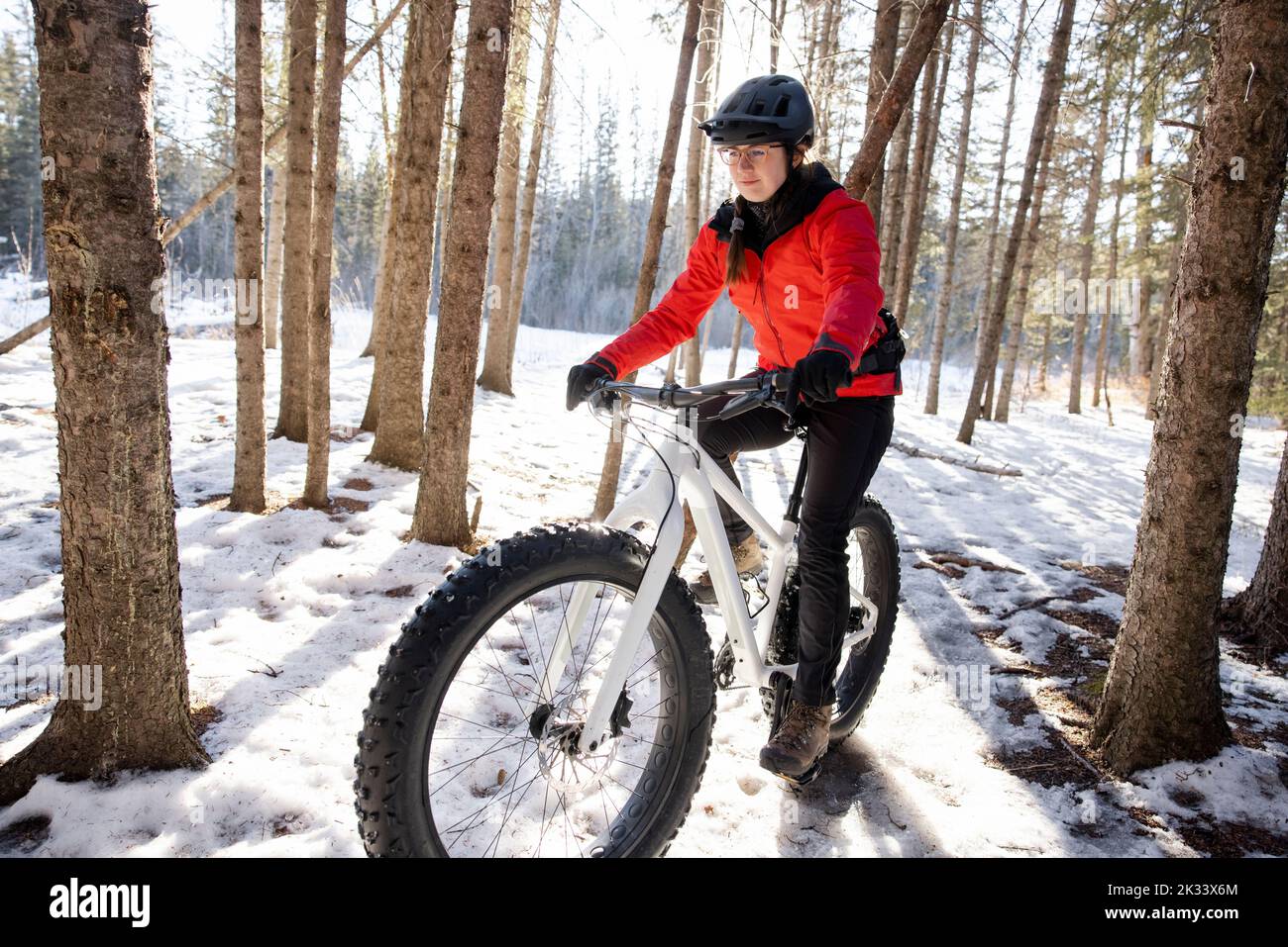 Woman riding fat bike in snowy forest Stock Photo Alamy