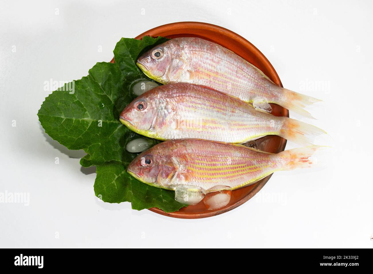 Red croaker, Lal poa, Pama, seafood Stock Photo