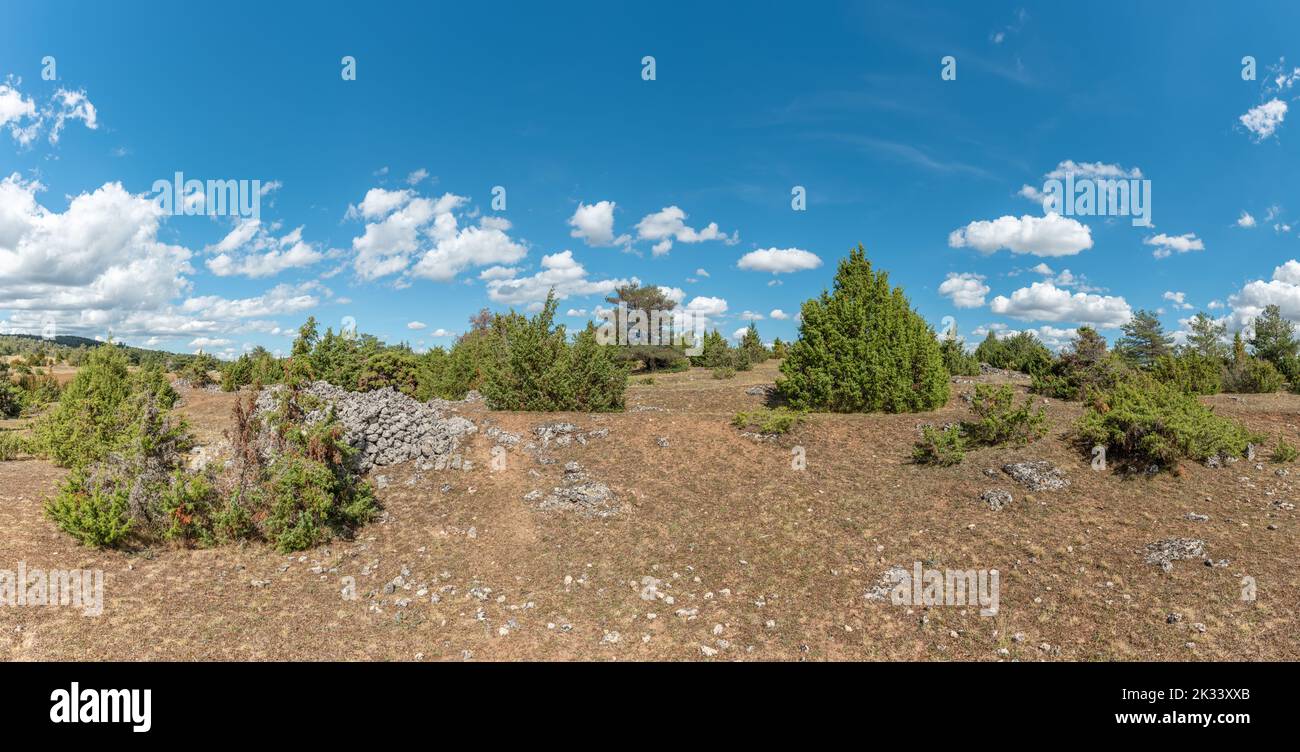 Landscape of the causse mejean in summer in the cevennes national park. Unesco World Heritage. Panorama, panoramic. St pierre des tripiers, Aveyron, F Stock Photo