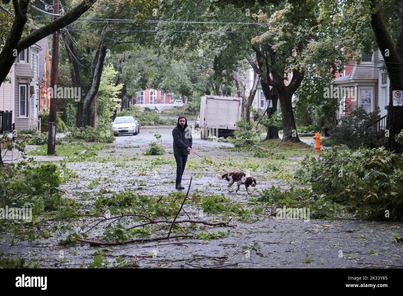 Halifax, Nova Scotia, Canada. September 24th, 2022. Tree damages all over the street of North End area of Halifax following the passage of Hurricane Fiona. The Hurricane with winds up to 135 km/h in the area left considerable tree damages, and major damage to the power grid with an estimated 80% of population of province without power this morning, but the area still avoid some of the major damages that hit the rest of the province. Credit: meanderingemu/Alamy Live News Stock Photo