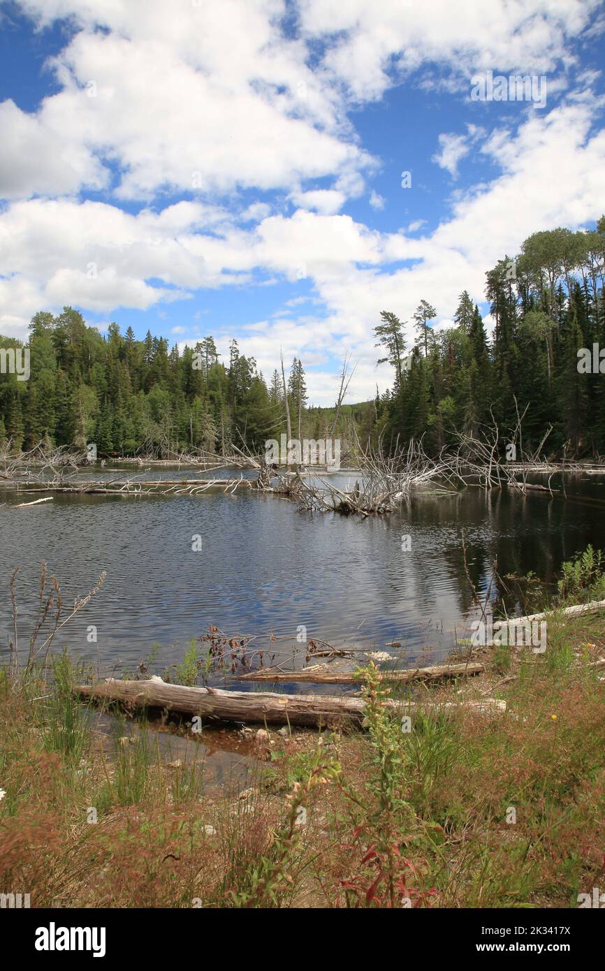Chapleau Crown Game Preserve / Chapleau Crown Game Preserve Stock Photo Alamy