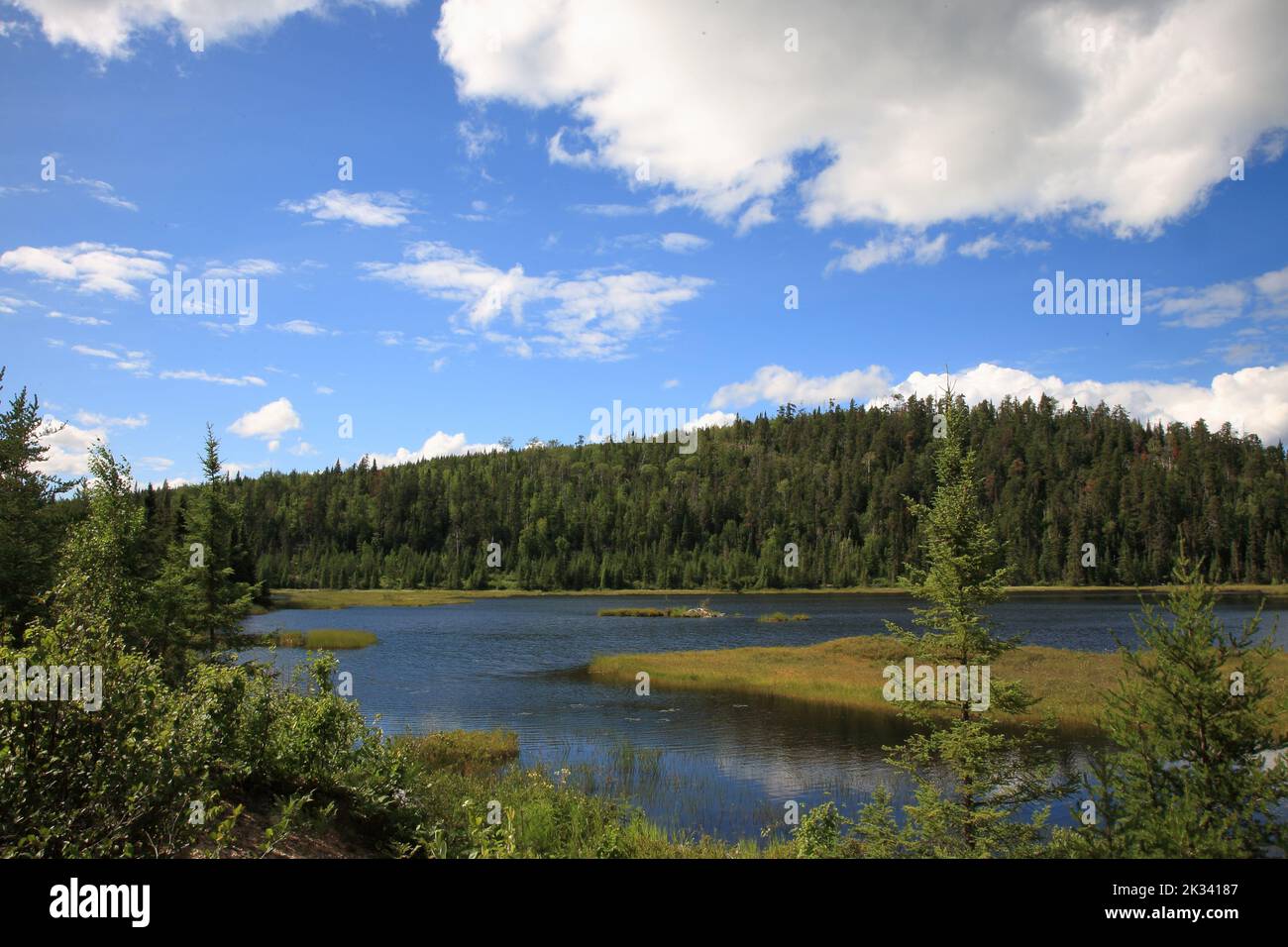 Chapleau Crown Game Preserve / Chapleau Crown Game Preserve Stock Photo
