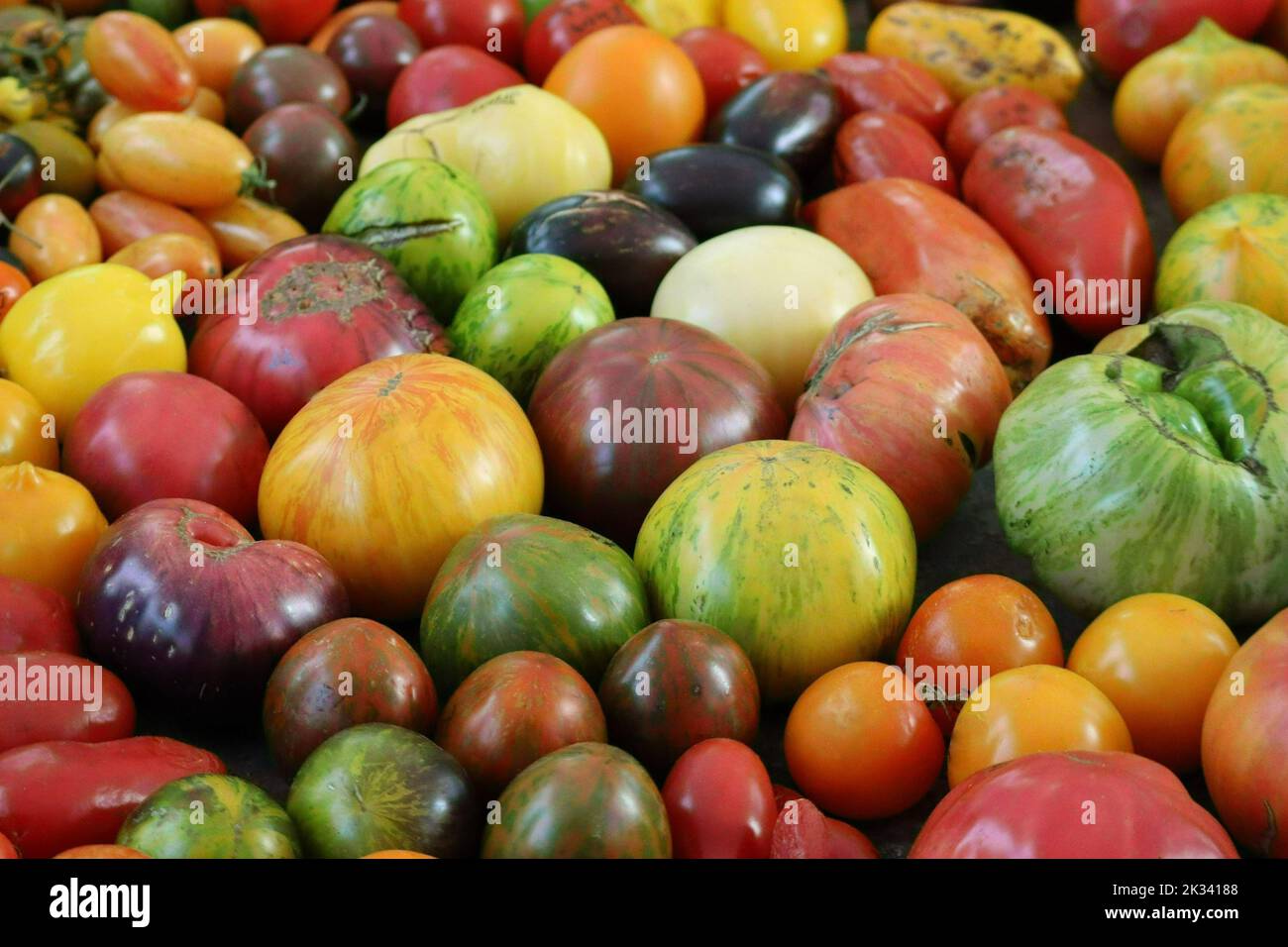 Mainly Giant Zebra Tomatoes on Offer Stock Photo