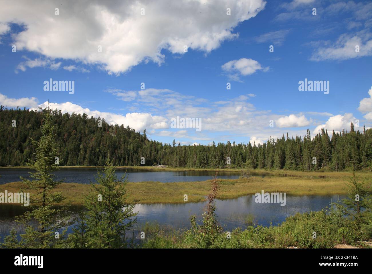 Chapleau Crown Game Preserve / Chapleau Crown Game Preserve Stock Photo