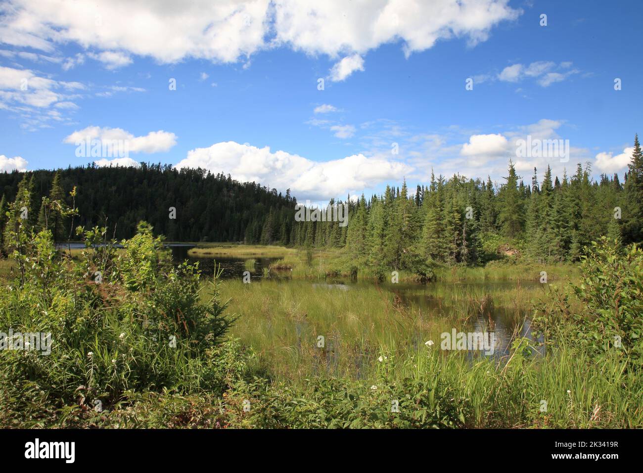 Chapleau Crown Game Preserve / Chapleau Crown Game Preserve Stock Photo