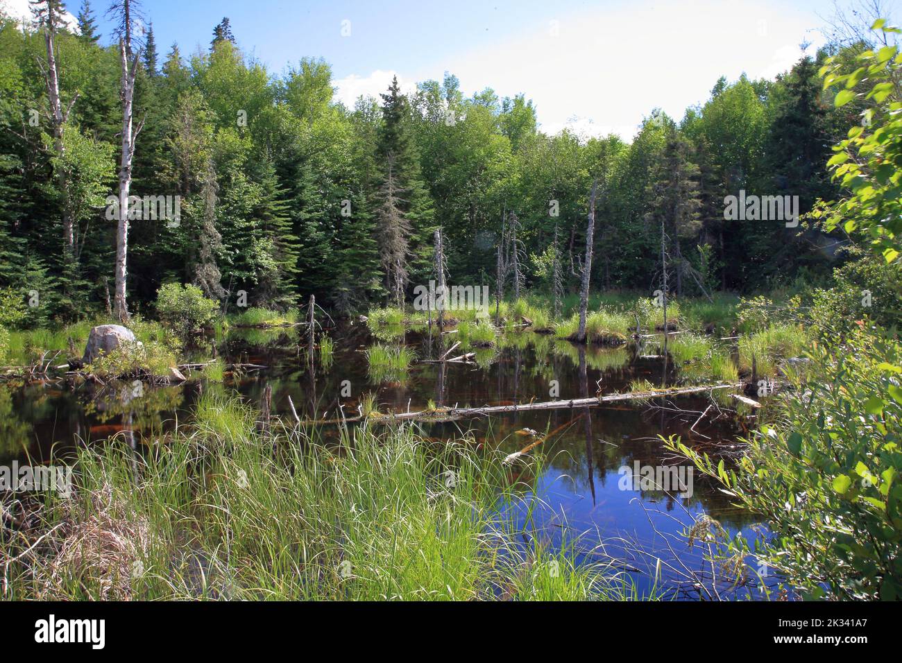 Chapleau Crown Game Preserve / Chapleau Crown Game Preserve Stock Photo Alamy