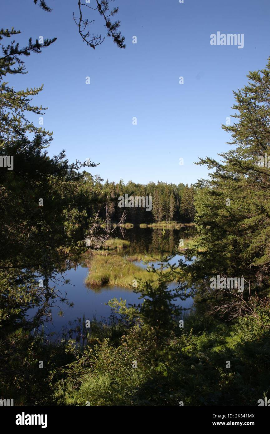 Chapleau Crown Game Preserve / Chapleau Crown Game Preserve Stock Photo Alamy