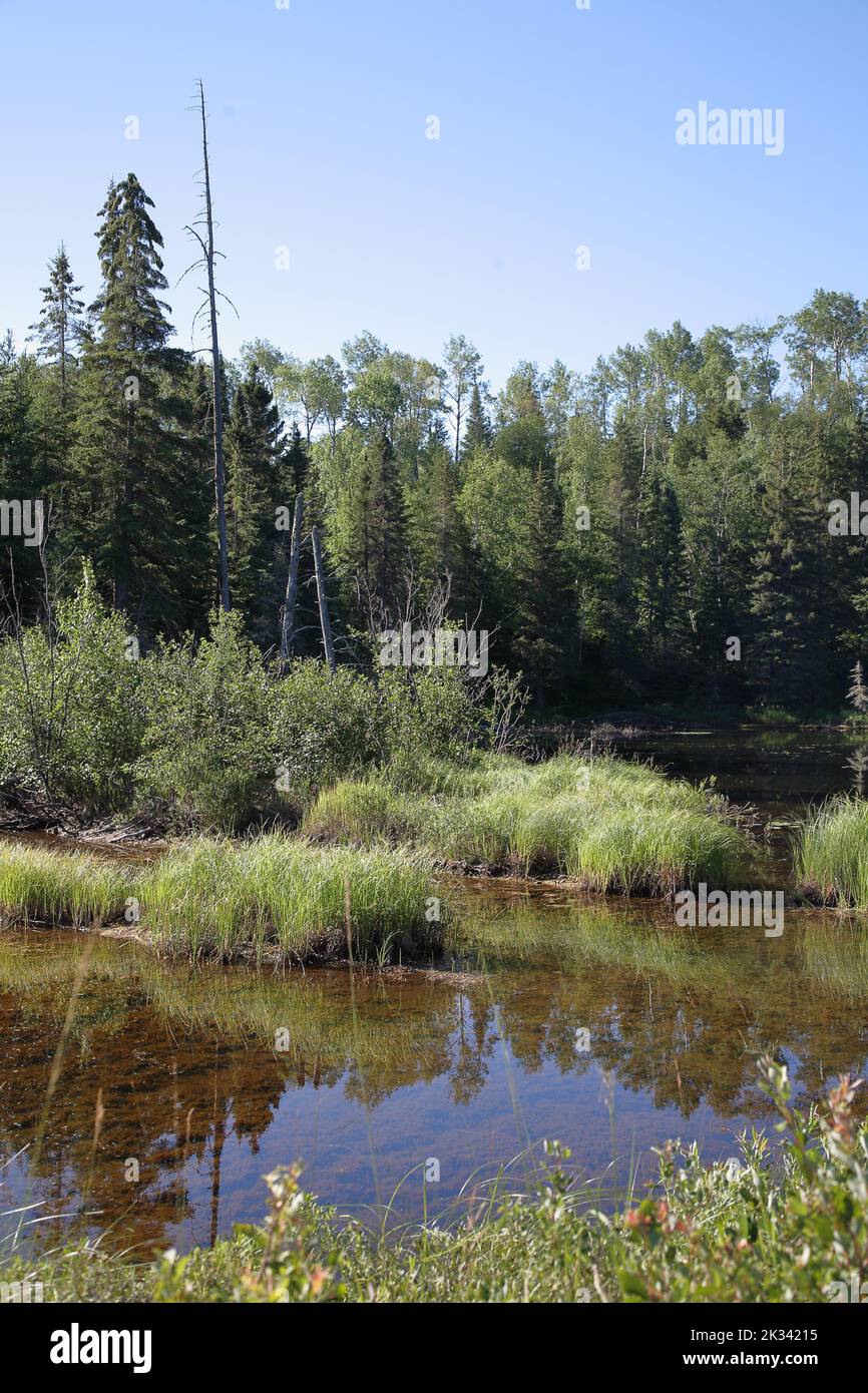 Chapleau Crown Game Preserve / Chapleau Crown Game Preserve Stock Photo Alamy