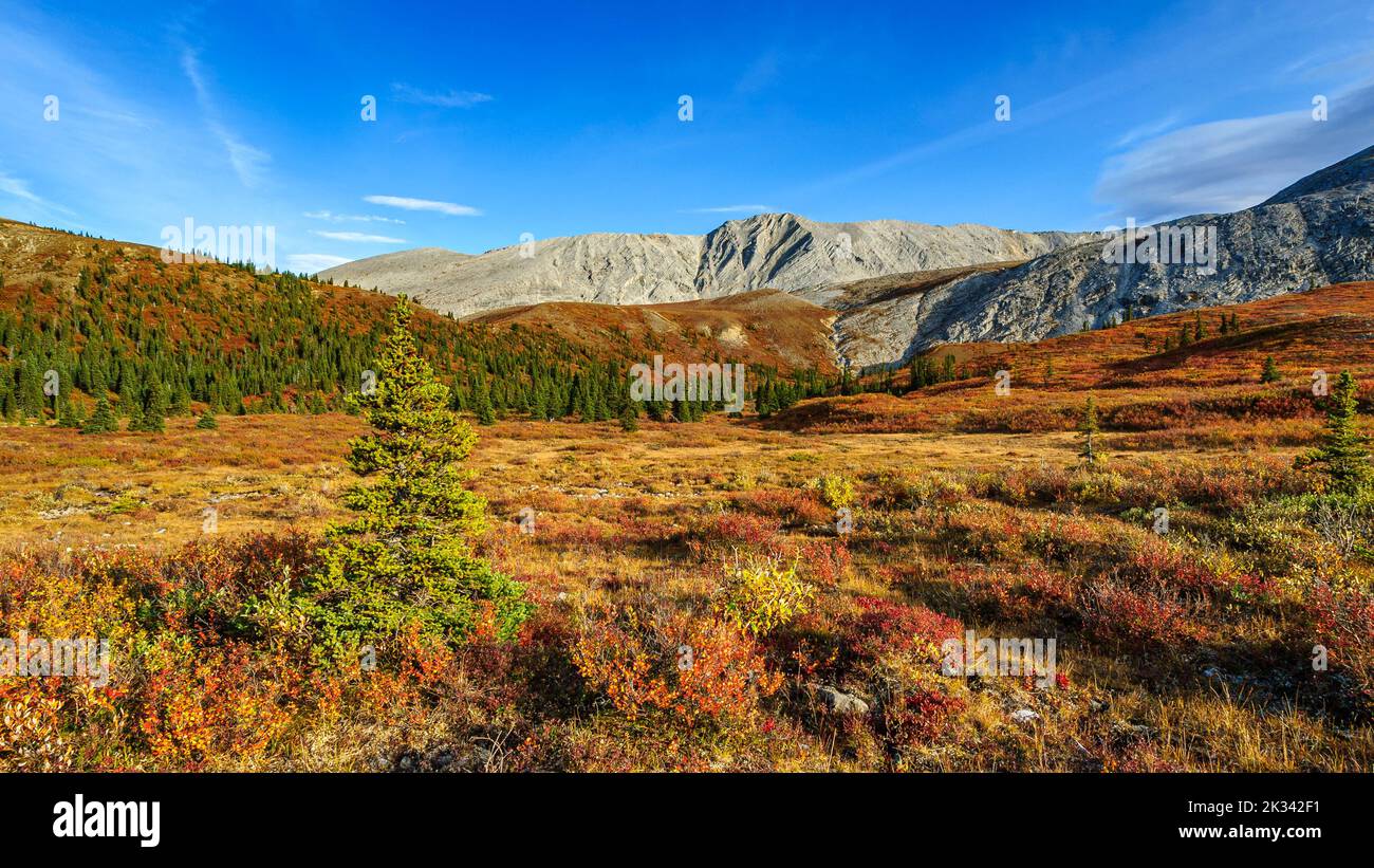 Autumn colours at Stone Mountain Provincial Park in the northern Rocky Mountains of British Columbia Stock Photo