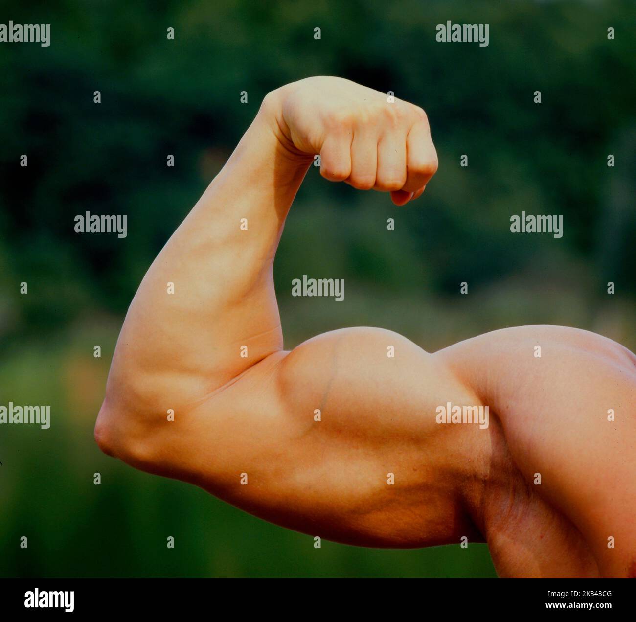 Bodybuilder Power Athlete Definition Stock Photo Alamy
