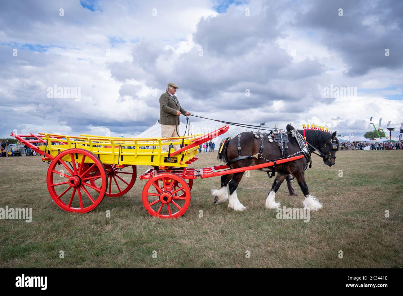 Great Gransden Cambridgeshire, UK. 24th Sep, 2022. Paul Smith displays a Shire horse called Jack at the Gransden and District Agricultural Society Show. Jack is 9 years old and at over 18 hands is one of the tallest shire horses in the UK. At this show he pulls a Suffolk hay cart built in the 1930's. Credit: Julian Eales/Alamy Live News Stock Photo