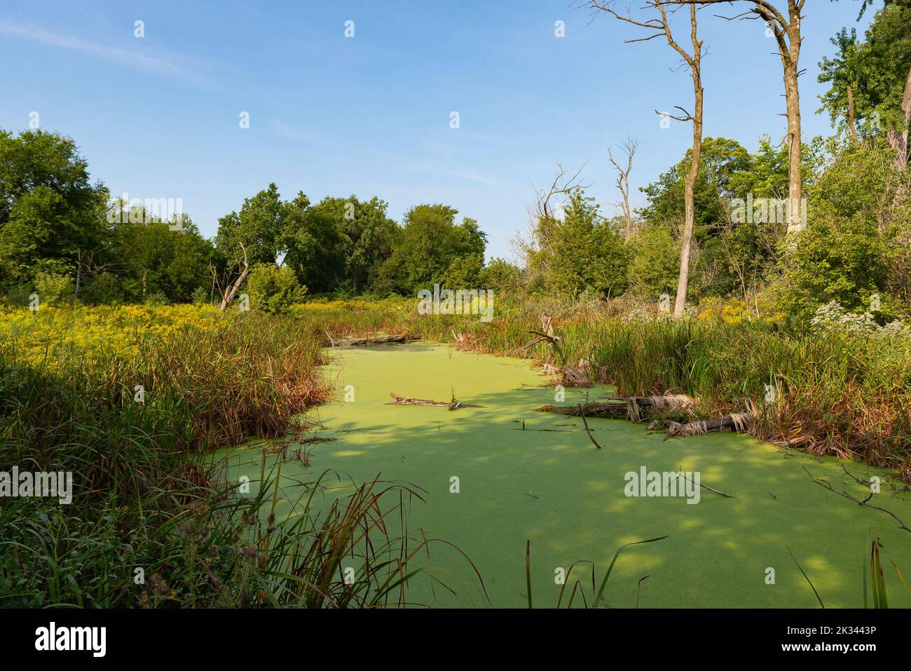 Lyons illinois hires stock photography and images Alamy