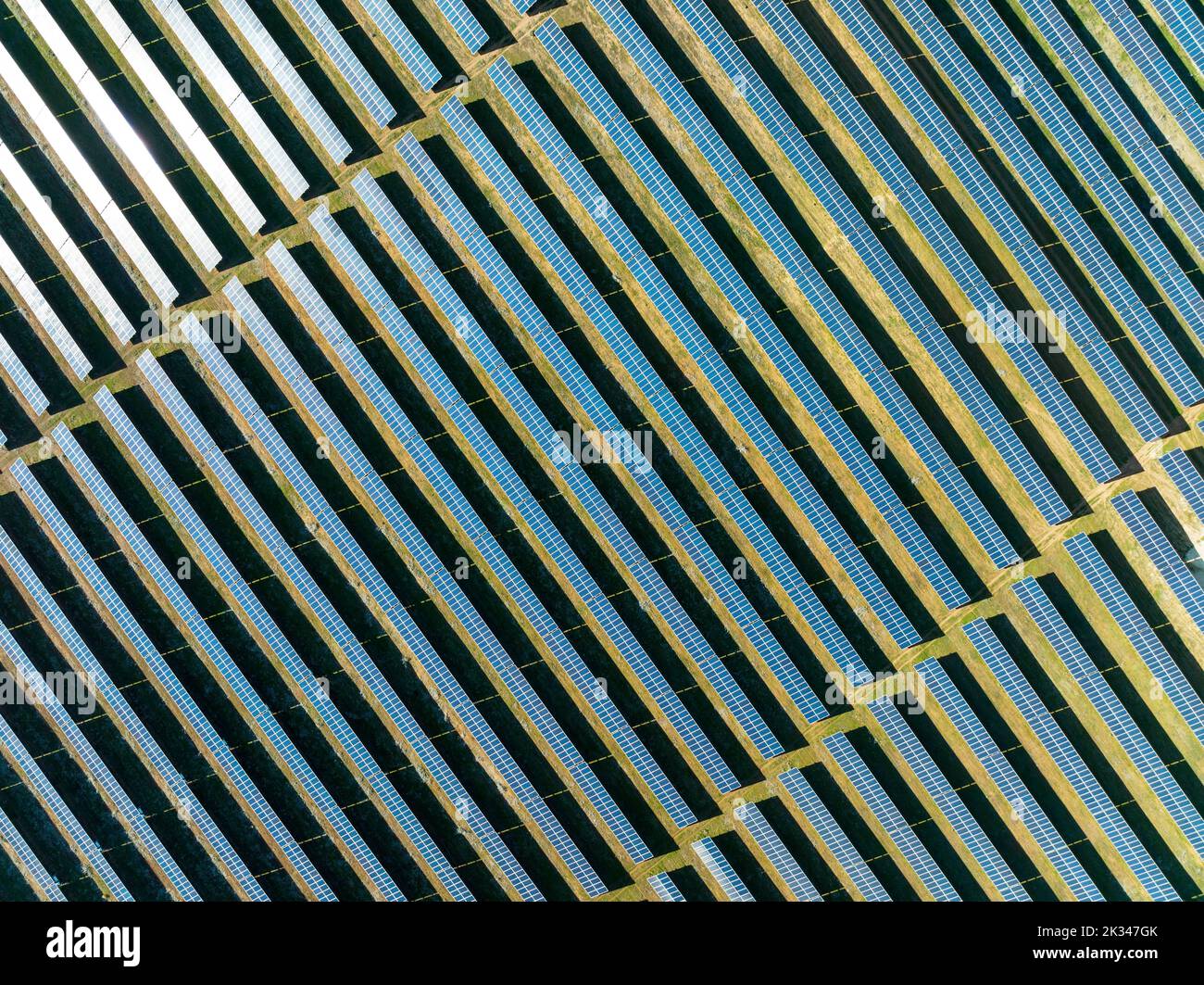 Rows of solar panels at a photovoltaic plant near Espejo, aerial view, drone shot, Cordoba province, Andalucia, Spain Stock Photo