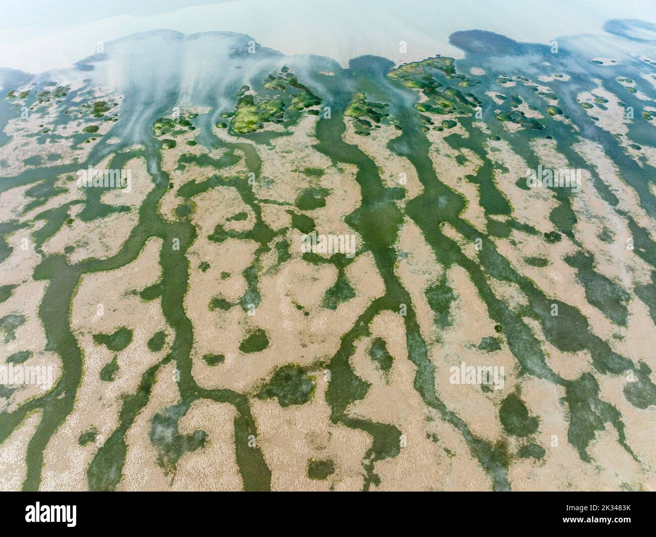 Network of channels and streams at low tide at their confluence with a larger body of water, in the marshland of the Bahia de Cadiz, aerial view Stock Photo