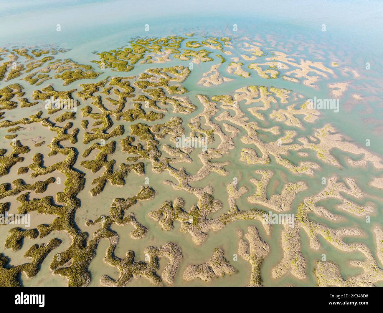 Network of channels and streams at low tide at their confluence with a larger body of water, in the marshland of the Bahia de Cadiz, aerial view Stock Photo