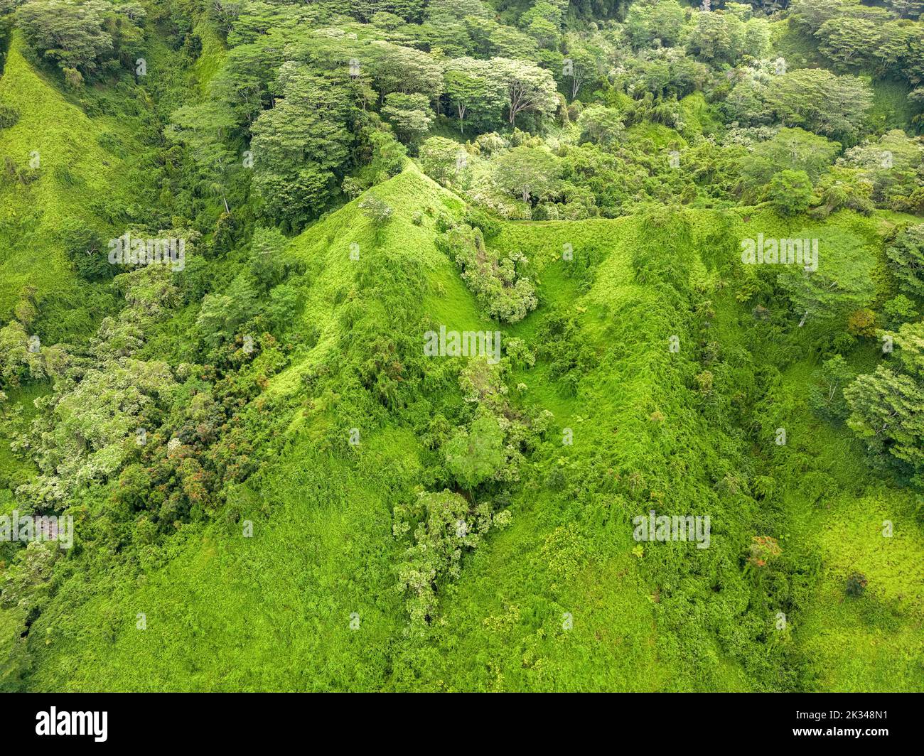 Aerial view of kauai hi-res stock photography and images - Alamy