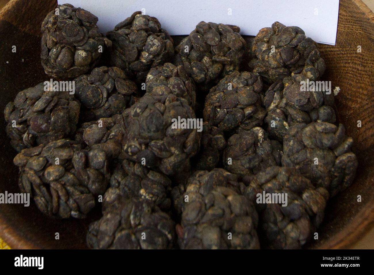 Torino, Italy. 24th September 2022. Seeds of Parkia biglobosa, known as the African locust bean. Stock Photo