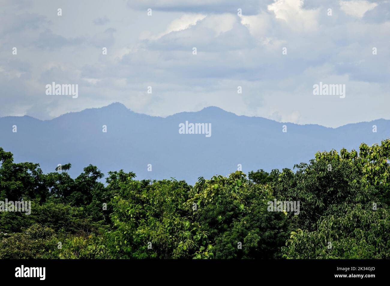 An aerial view of a beautiful forest near the mountains Stock Photo - Alamy