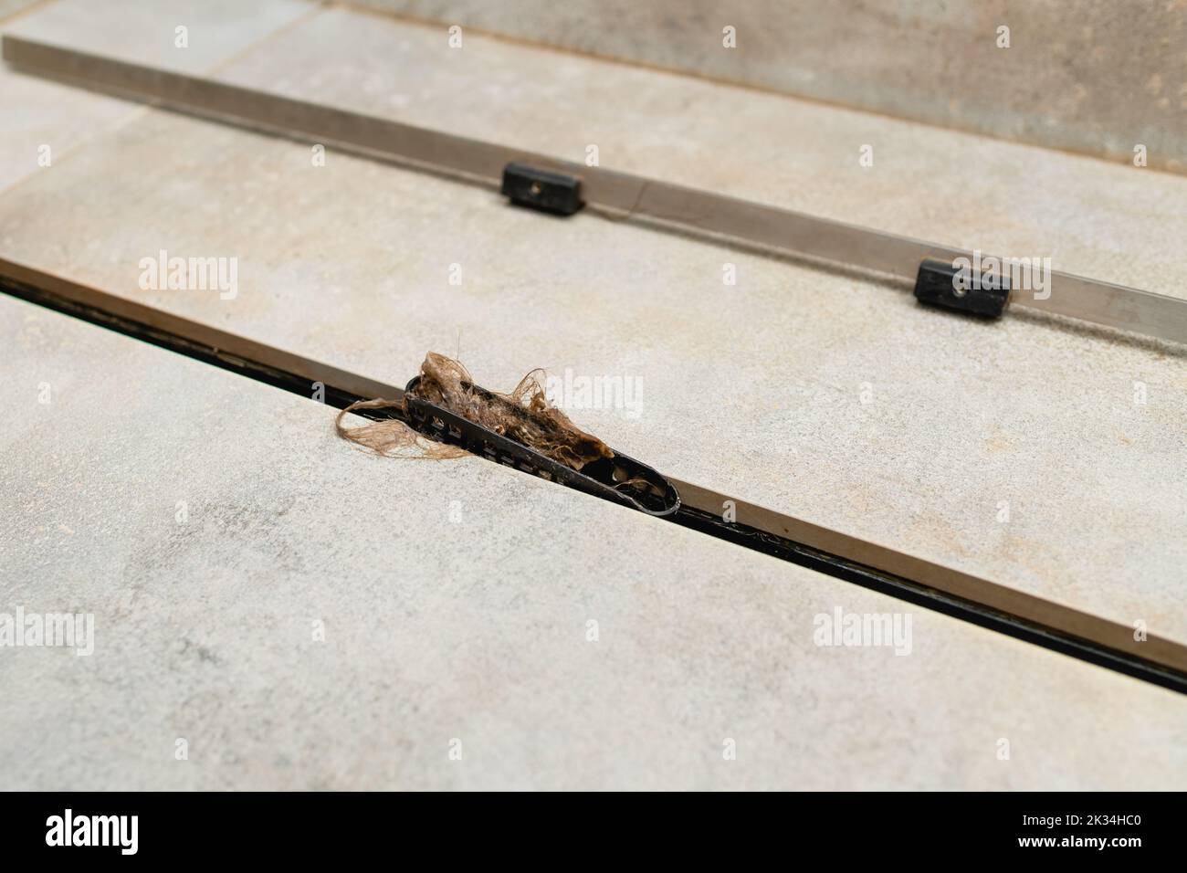 Hair clogs shower drain. Removing hair clump from the shower drain