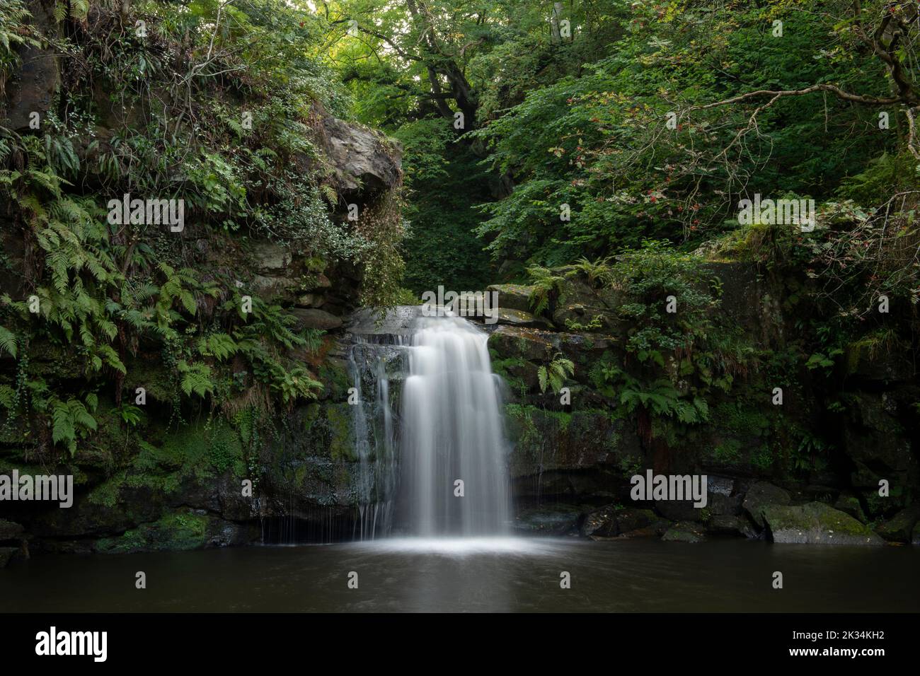 Thomason Foss waterfall in the river between Beck Hole and Goathland in the North York Moors National Park Stock Photo