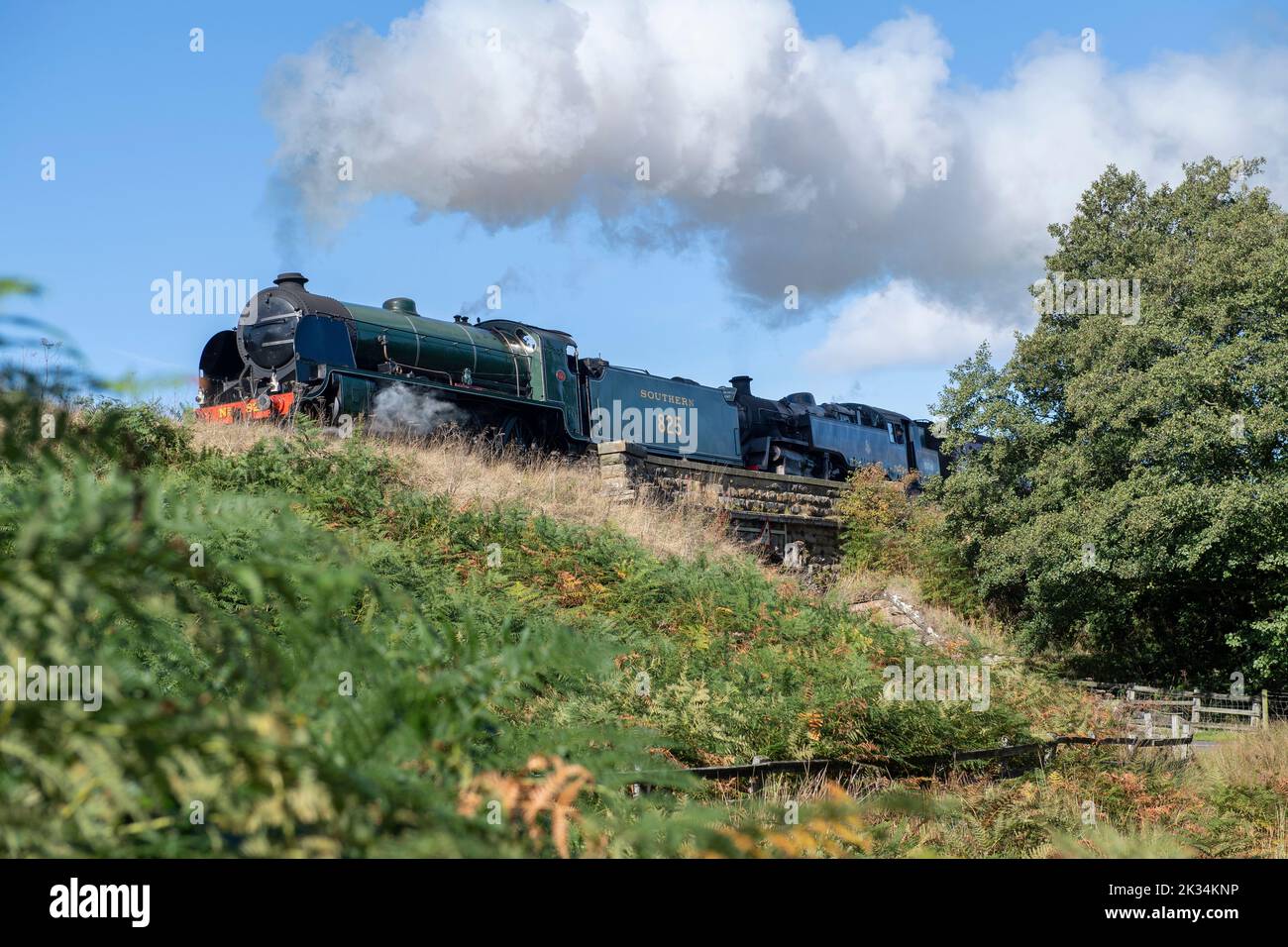 The Southern No.926 Repton steam train crossing a bridge outside Goathland on the North Yorkshire Moors Railway. Stock Photo