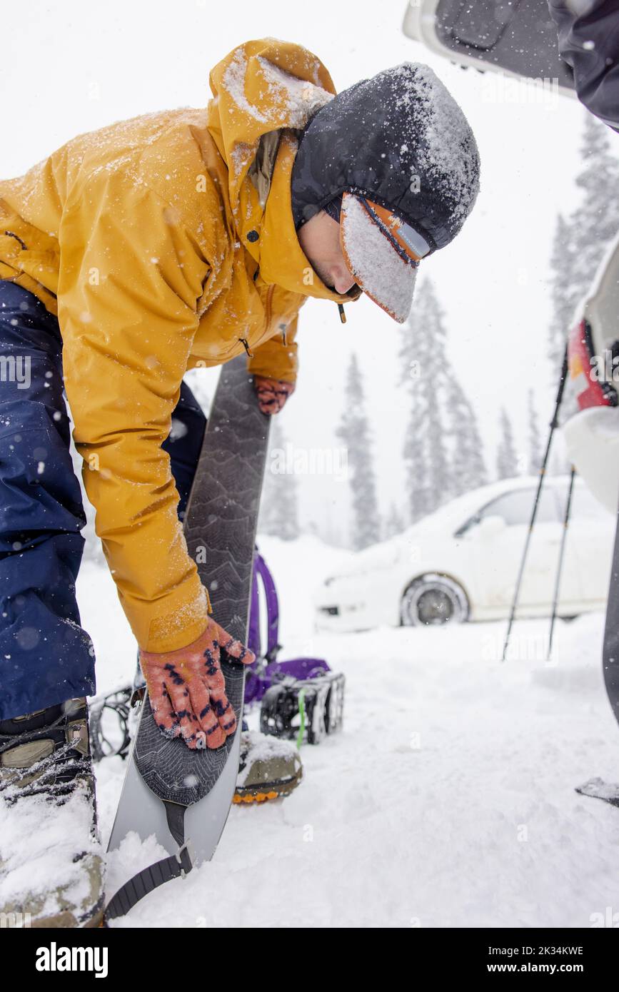 Man putting skins on skis in snowy parking lot Stock Photo Alamy
