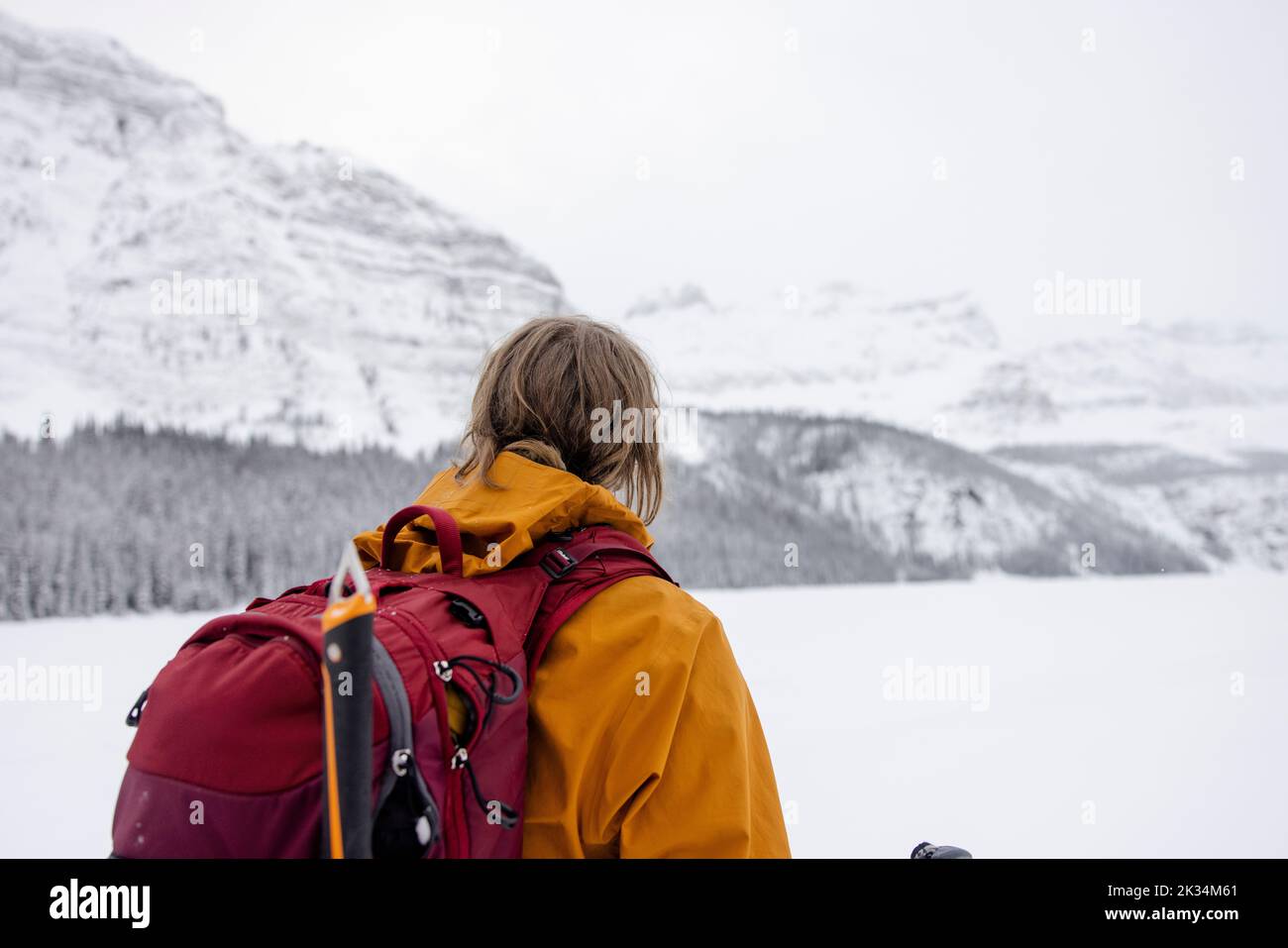 Female skier looking at majestic snowy Canadian Rocky Mountains Stock Photo
