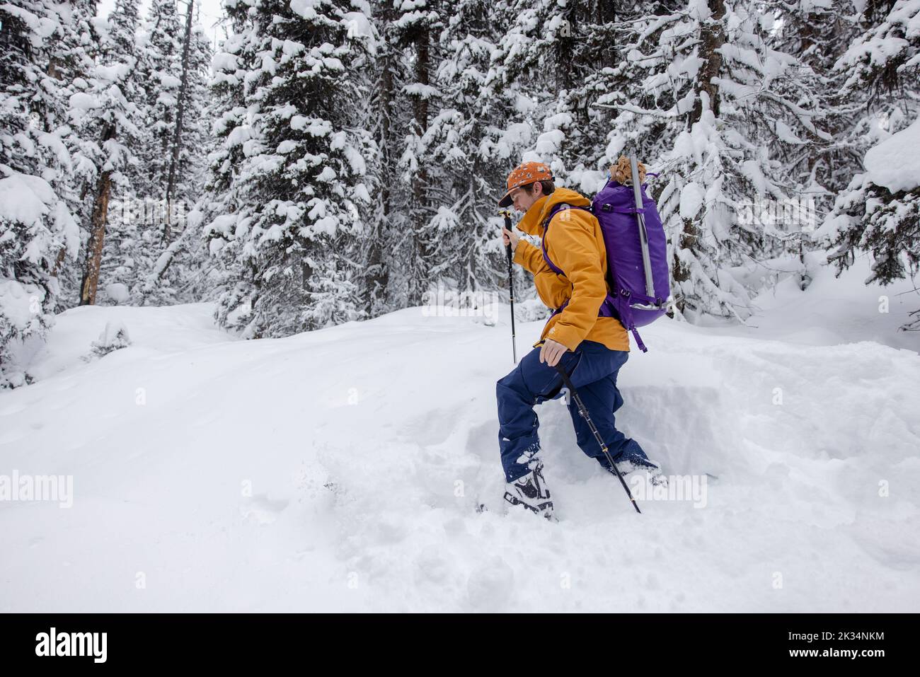 Man poles hires stock photography and images Alamy